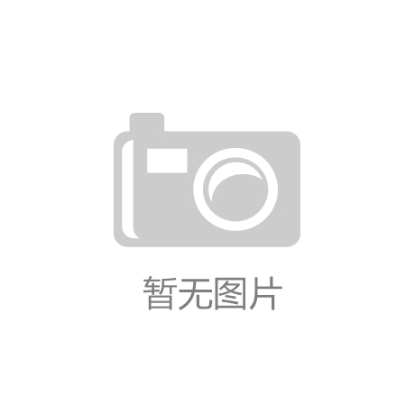 雷军效应”正在四处蔓延J9国际集团一年后