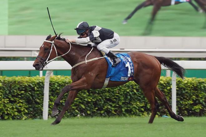 眼罩夺魁家族曾养香港马王J9国际集团王经纬赛驹戴(图3)